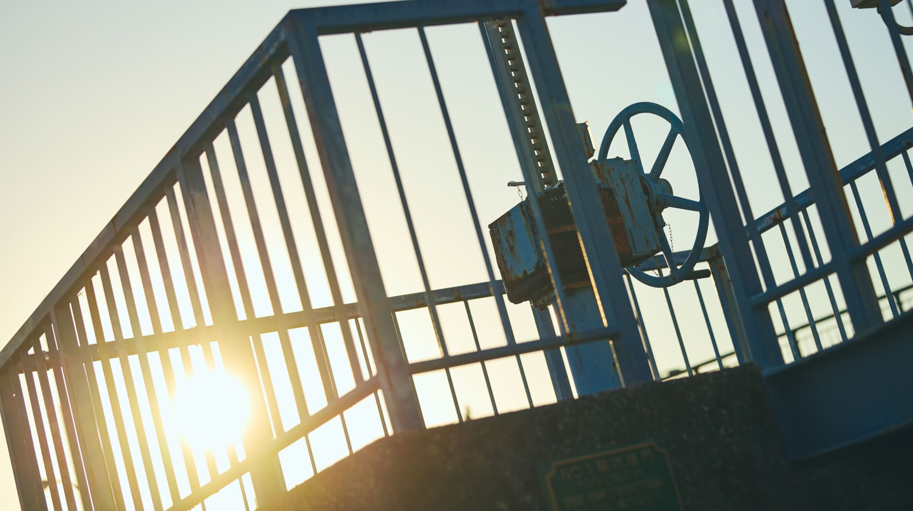 保険の先にある「＋α」の価値を。現場の最前線で向き合う、三者三様のプロフェッショナリズム