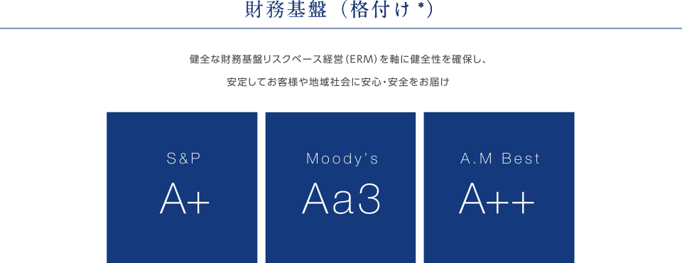 財務基盤（格付け*）健全な財務基盤リスクベース経営（ERM）を軸に健全性を確保し、安定してお客様や地域社会に安心・安全をお届け
