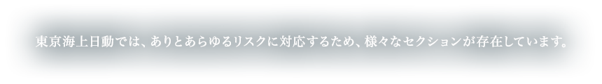 東京海上日動では、ありとあらゆるリスクに対応するため、様々なセクションが存在しています。