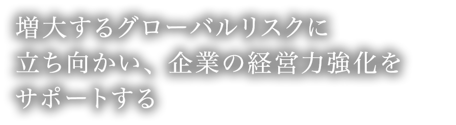 増大するグローバルリスクに立ち向かい、企業の経営力強化をサポートする