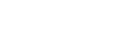 損害保険ビジネスのイノベーションや経営課題の解決を「ITからリード」する。